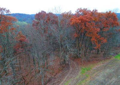 AJ Logging Clear Cut Timber