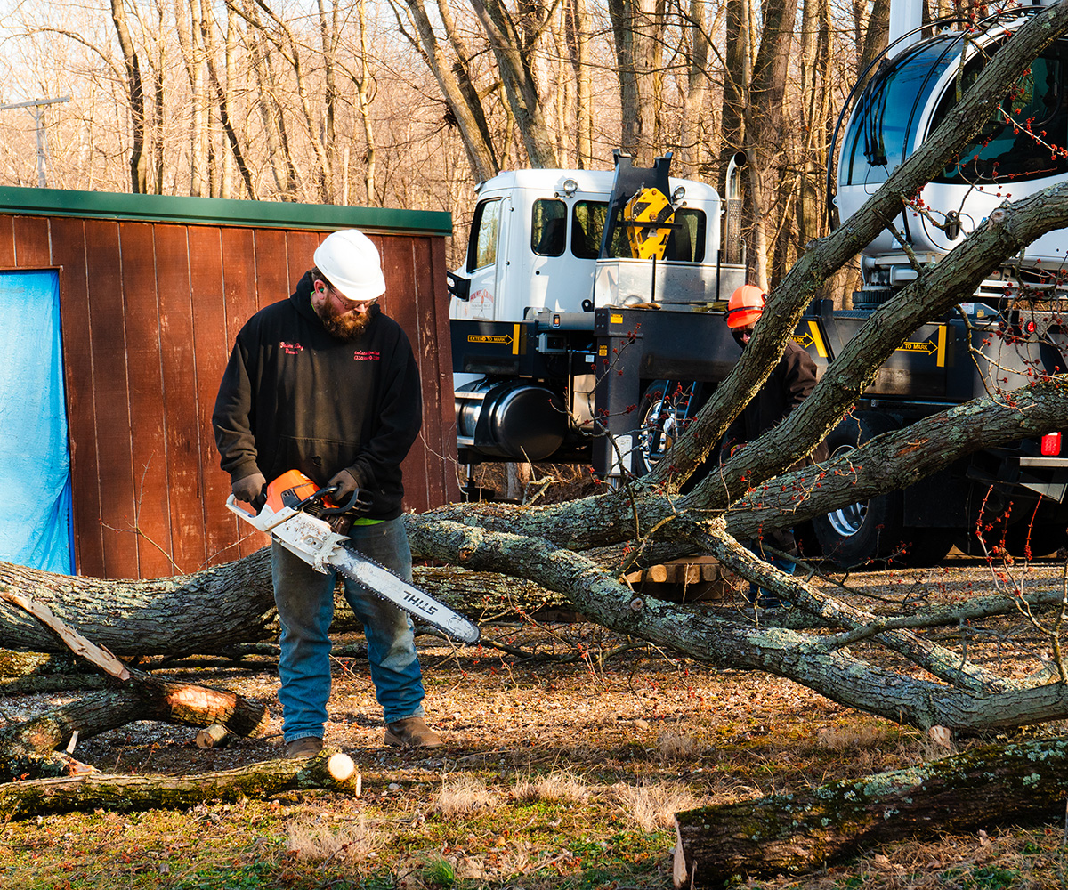 Our Lumber Mill- Our Story